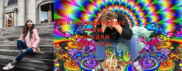 твердый Алексеевка
